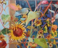 Sunflowers in Mt. Horeb 