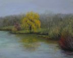 SPRING WILLOW REFLECTIONS 11 x 14