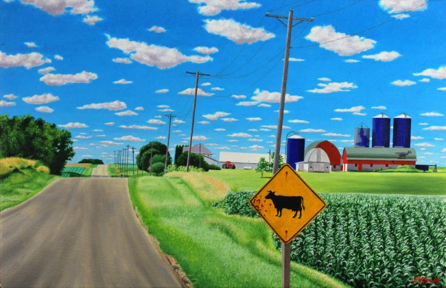 Cow in Road