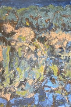 BWCA.2007