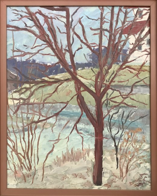Early Spring Field