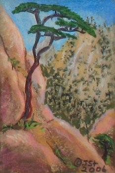 Huangshan Crevice
