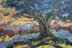 Willow, Starkweather Watershed
