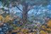 Willow 2, Starkweather