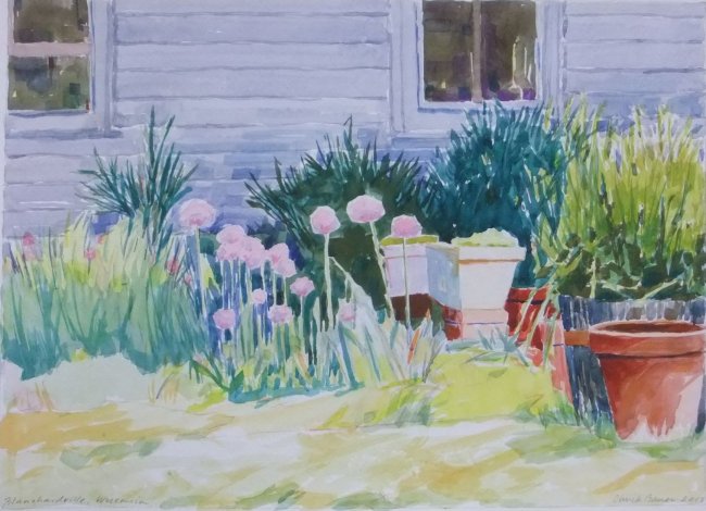 Blanchardville Side Yard Alliums 