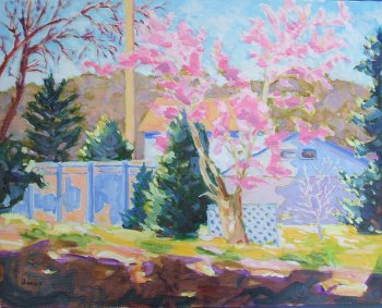Magnolia Tree