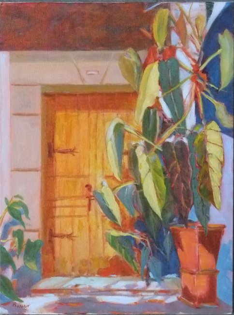 Philodendron in San Miguel