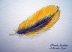 Oriole feather