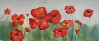 Poppies