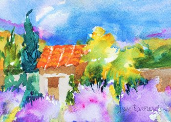 Lavender Provence 6