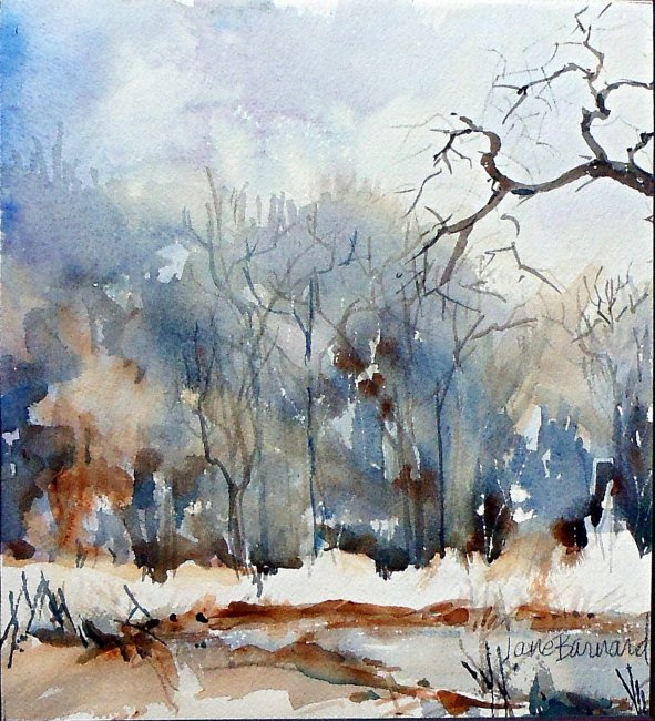 Winter Woods