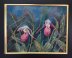 Pink lady slippers orchids, cypriedium acaule