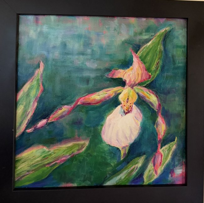 Lady Slippers Orchid , cypripedium candidum