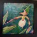 Lady Slippers Orchid , cypripedium candidum