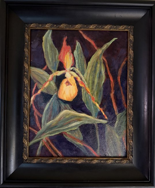 Yellow lady slippers orchid