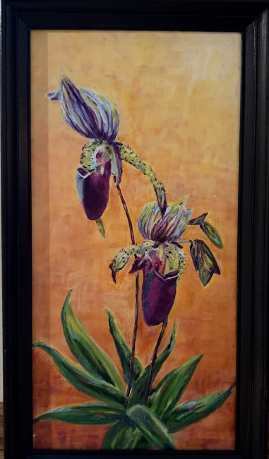 Orchid Neptune Mars