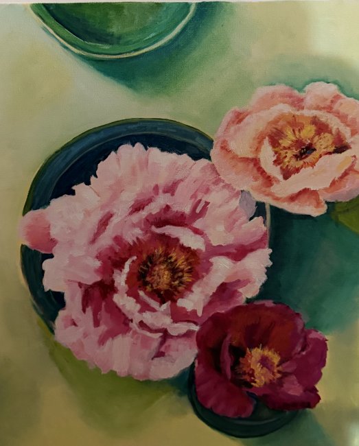 Peonies in spring