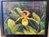 Yellow Lady slippers orchid  Cypripedium parviflorum