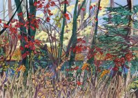 Fall Color