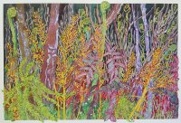 Fern Forms