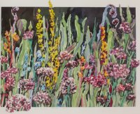Flowers in Corn