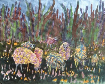 Sheep and Goats