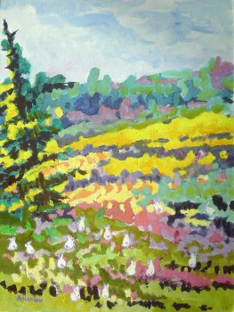 Valley of the White Rabbits