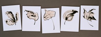 Leaf Poem in Pentameter