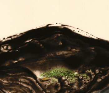 Thatch-Hut Mountain 2