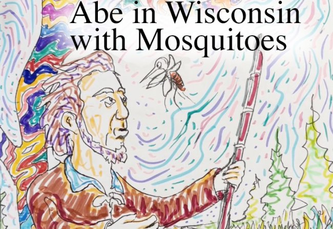 Abe in Wisconsin with Mosquitoes