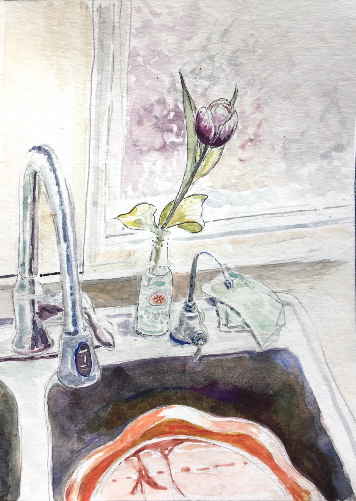Tulip