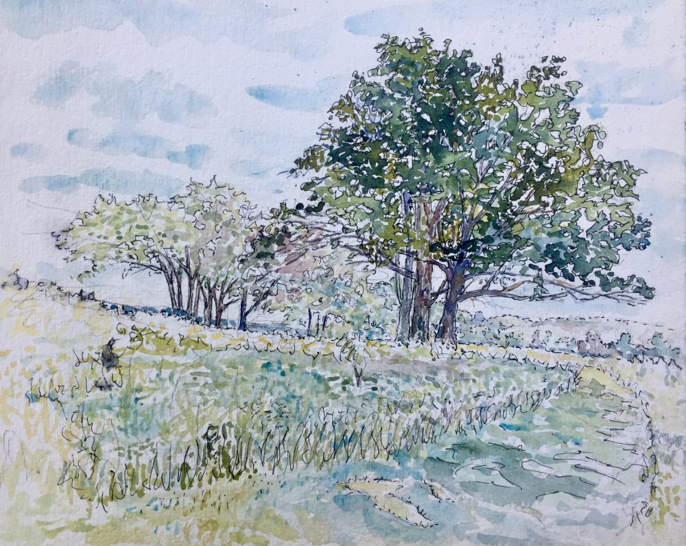 Oak