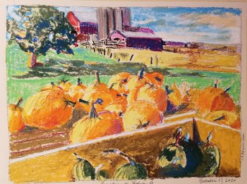 Pumpkins on Highway G