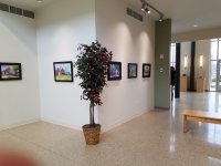 HOME Monroe WI Arts Center exhibition 