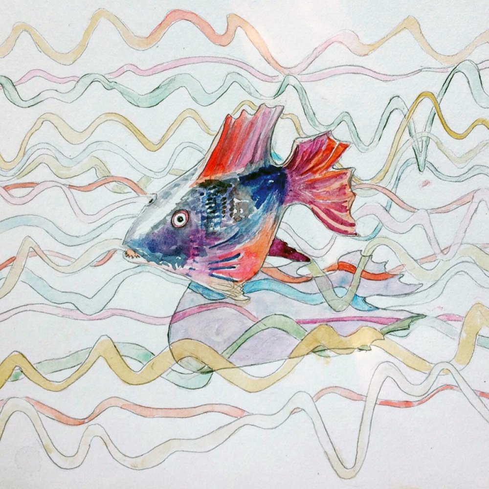 Fish