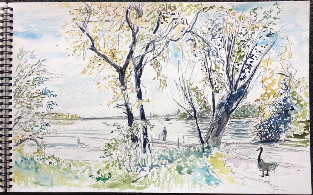 University Bay