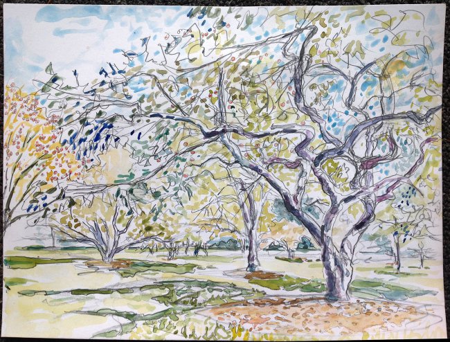 Longenecker Garden, UW Arboretum