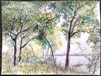 Picnic Point, Sold