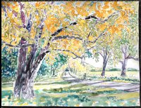 Yellow Tree, Sold