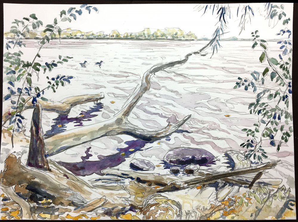 Picnic Point seen from Lake Mendota Shore
