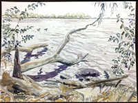 Picnic Point seen from Lake Mendota Shore, Sold