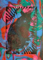 Willow the Cat in Color