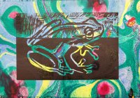 Frog in Color