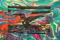 Migrating Hummingbird at Dusk