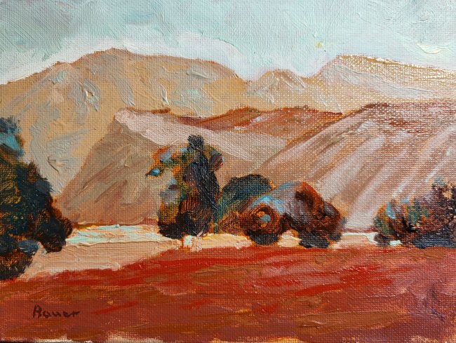 Near Taos New Mexico No. 2