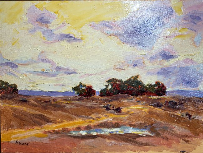 After the Rain in New Mexico 