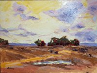 After the Rain in New Mexico 