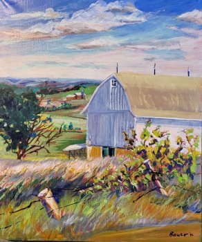 The Ivan Best Barn, and Wild Grape Vines, on Erb Road, Verona, Wisconsin