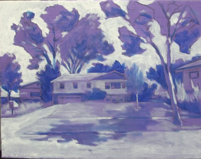 253 S. Segoe Road, Madison, Wisconsin