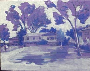 253 S. Segoe Road, Madison, Wisconsin
